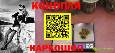 ешки Бийск