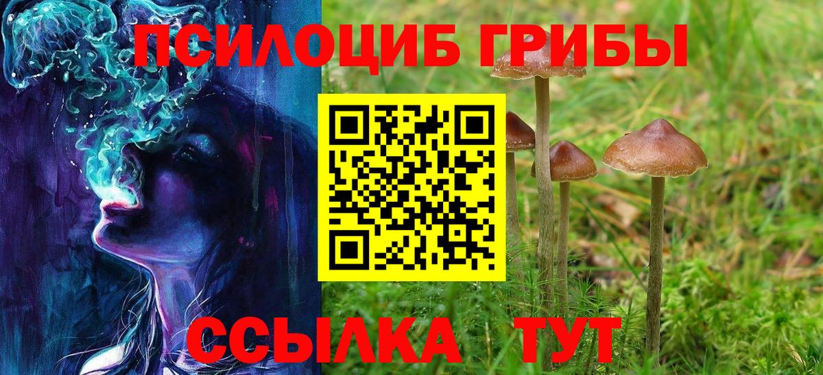 Псилоцибиновые грибы Psilocybine cubensis  Вход с VPN  Когалым  хочу   Галлюциногенные грибы Psilocybine cubensis 